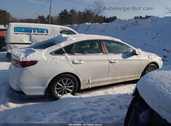 5NPE24AFXJH684389 2018 HYUNDAI SONATA Белый Вид задней части салона