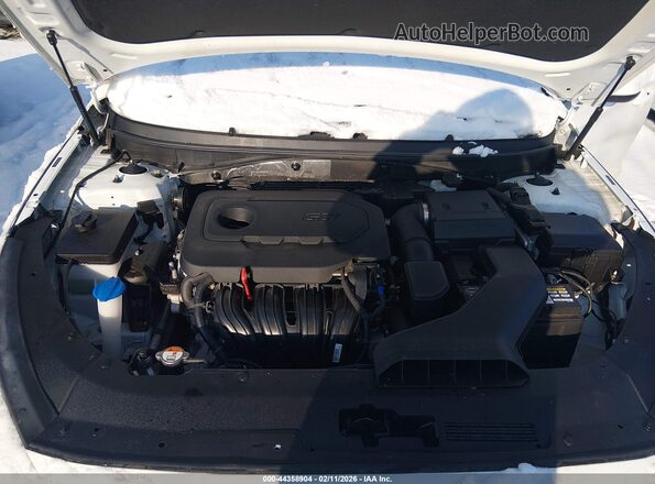 5NPE24AFXJH684389 2018 HYUNDAI SONATA Белый Вид сзади