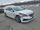 2016 Hyundai Sonata Sport White vin: 5NPE34AF1GH339175