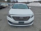 2016 Hyundai Sonata Sport White vin: 5NPE34AF1GH339175