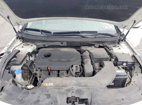 5NPE34AF1GH339175 2016 HYUNDAI SONATA White Widok wnętrza z tyłu