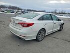 2016 Hyundai Sonata Sport White vin: 5NPE34AF1GH339175