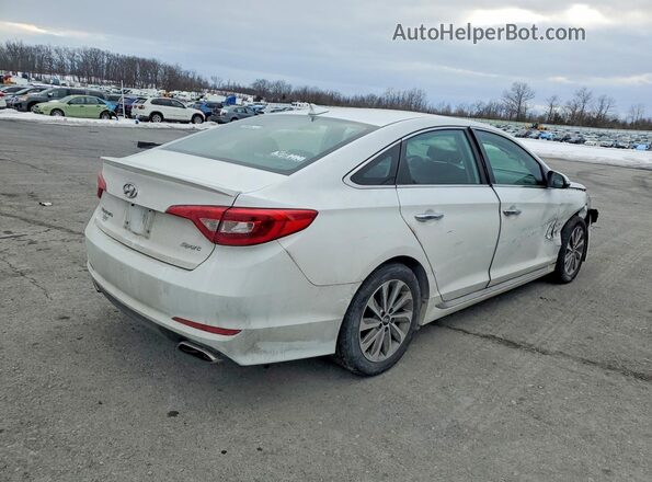 5NPE34AF1GH339175 2016 HYUNDAI SONATA White Tył prawy