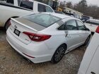 2017 Hyundai Sonata Sport White vin: 5NPE34AF4HH524273 Damage: Right Qtr Panel, Peeling, > 12 Inches