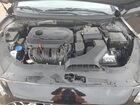 2019 Hyundai Sonata Limited Black vin: 5NPE34AF4KH775382