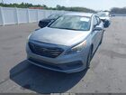 2016 Hyundai Sonata Sport Серебряный vin: 5NPE34AF5GH370851