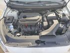 2019 Hyundai Sonata Limited Белый vin: 5NPE34AF5KH819793