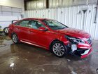 2017 Hyundai Sonata Sport Красный vin: 5NPE34AF6HH580067