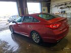 2017 Hyundai Sonata Sport Красный vin: 5NPE34AF6HH580067