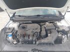 2019 Hyundai Sonata Sport Белый vin: 5NPE34AF6KH775819 2019 Hyundai Sonata Sport Белый vin: 5NPE34AF6KH775819