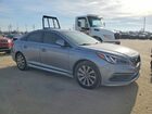 2016 Hyundai Sonata Sport Серый vin: 5NPE34AF8GH264328