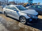 2019 Hyundai Sonata Sel Silver vin: 5NPE34AF8KH796347