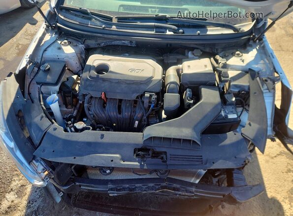 5NPE34AF8KH796347 2019 HYUNDAI SONATA Silver Սալոնի հետևի տեսք