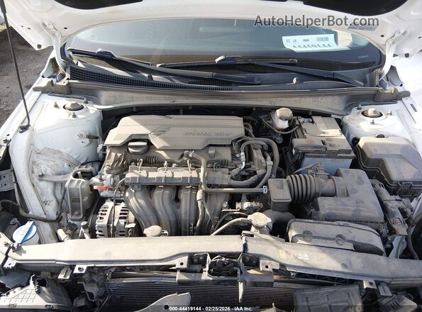 5NPLP4AG5MH000161 2021 HYUNDAI ELANTRA Белый Вид сзади