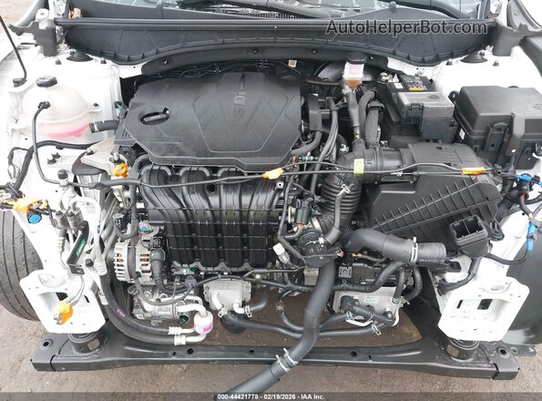 5NTJBDAEXNH027251 2022 HYUNDAI SANTA CRUZ Белый Вид сзади