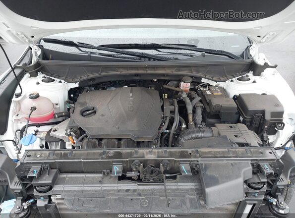 5NTJCDAE3RH082322 2024 HYUNDAI SANTA CRUZ White Vista trasera