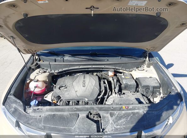 5NTJCDAE6PH043379 2023 HYUNDAI SANTA CRUZ Коричневый Вид сзади