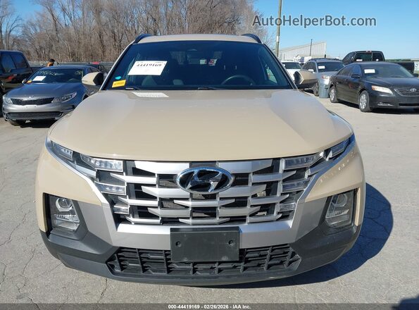 5NTJCDAE6PH043379 2023 HYUNDAI SANTA CRUZ Коричневый Вид задней части салона
