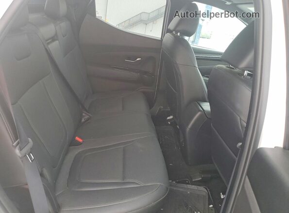 5NTJDDDF7RH106221 2024 HYUNDAI SANTA Белый Вид задних сидений