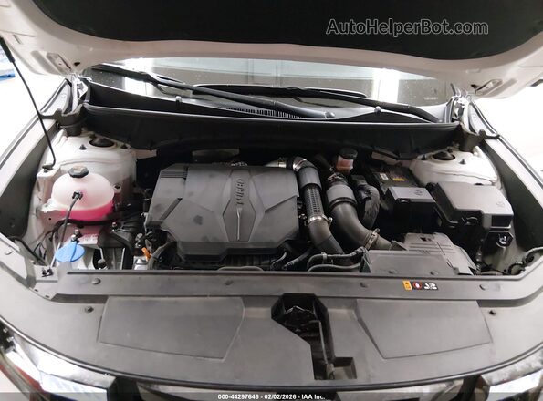 5NTJEDAF0PH073741 2023 HYUNDAI SANTA CRUZ White Вид ззаду