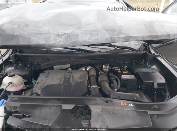 5NTJEDAF0RH096469 2024 HYUNDAI SANTA CRUZ Black Widok z tyłu