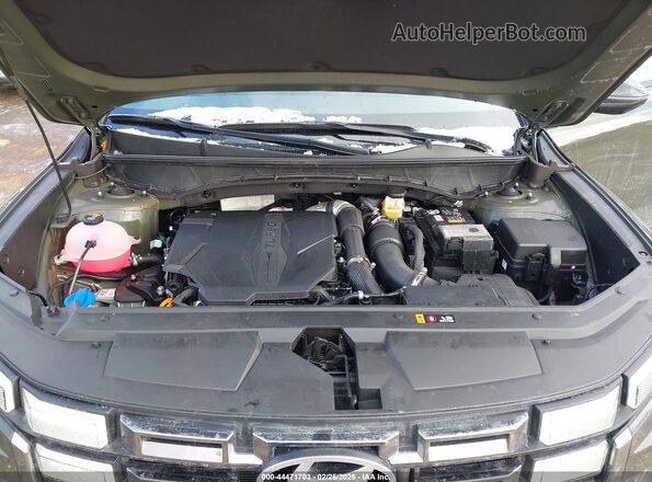 5NTJEDDF1SH137094 2025 HYUNDAI SANTA CRUZ Green Widok z tyłu