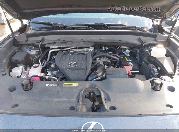 5TDAAAA63RS011966 2024 LEXUS TX 350 Серый Вид сзади