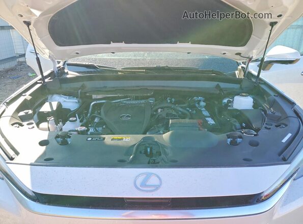 5TDAAAA67TS018880 2026 LEXUS TX Белый Вид подкапотного пространства