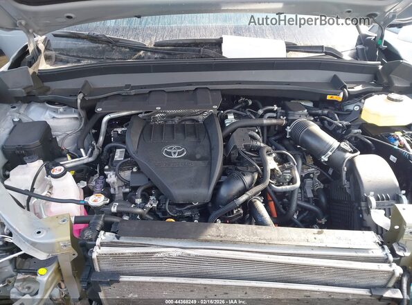 5TDADAB58SS020326 2025 TOYOTA HIGHLANDER HYBRID Gray Widok z tyłu