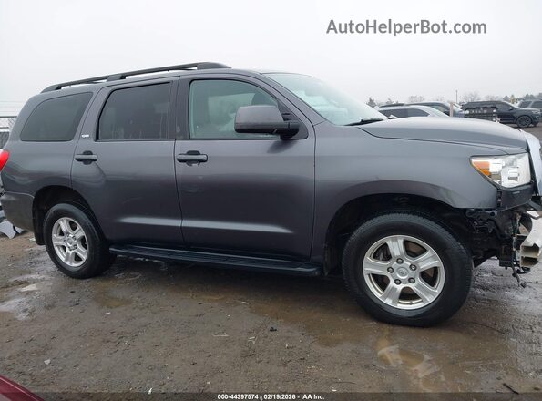5TDBY5G15HS154662 2017 TOYOTA SEQUOIA Серый Панорамный вид салона 360°