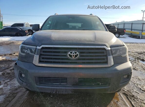 5TDBY5G17JS158721 2018 TOYOTA SEQUOIA Серый Вид спереди