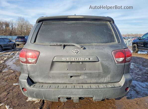 5TDBY5G17JS158721 2018 TOYOTA SEQUOIA Серый Вид сзади