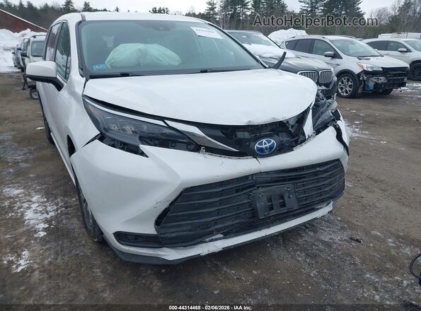 5TDKRKEC6SS239310 2025 TOYOTA LE Белый Вид спереди