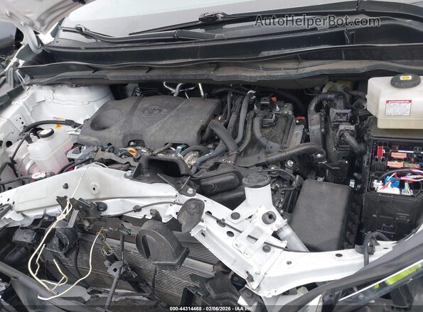 5TDKRKEC6SS239310 2025 TOYOTA LE Белый Вид сзади