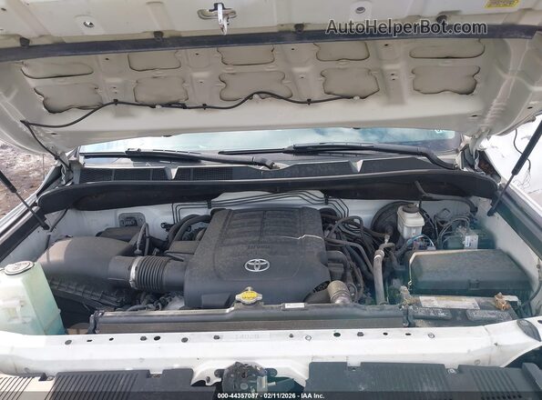 5TFCY5F1XGX020339 2016 TOYOTA TUNDRA Белый Вид сзади