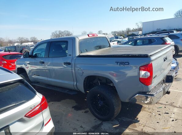 5TFDW5F10KX783618 2019 TOYOTA TUNDRA Серый Панорамный вид салона 360°