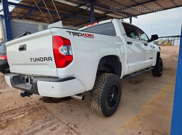 5TFDW5F16HX607777 2017 TOYOTA TUNDRA Белый Задняя правая четверть