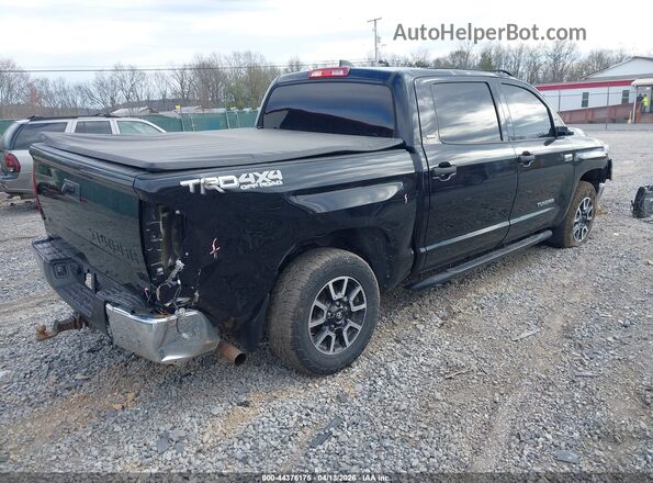 5TFDY5F10MX987137 2021 TOYOTA TUNDRA Черный Задняя правая четверть