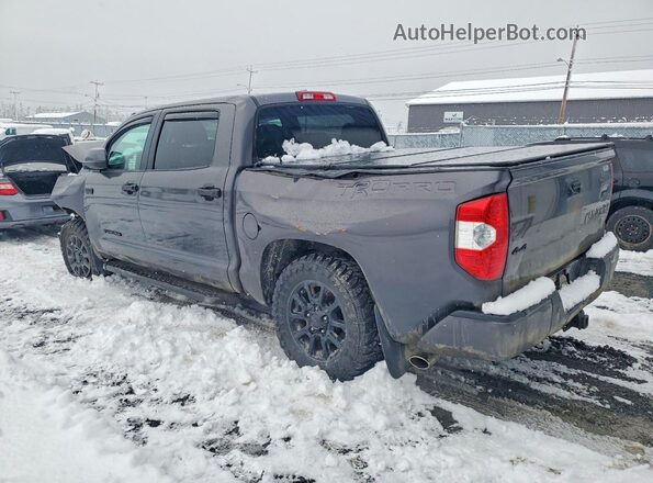 5TFDY5F18GX522822 2016 TOYOTA TUNDRA Серый Задняя левая четверть