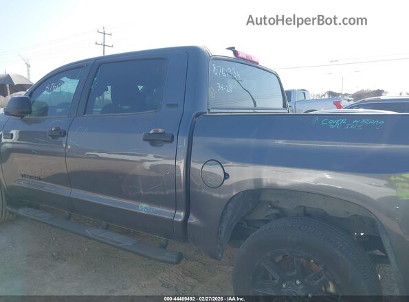 5TFEY5F10MX294640 2021 TOYOTA TUNDRA Серый Панорамный вид салона 360°