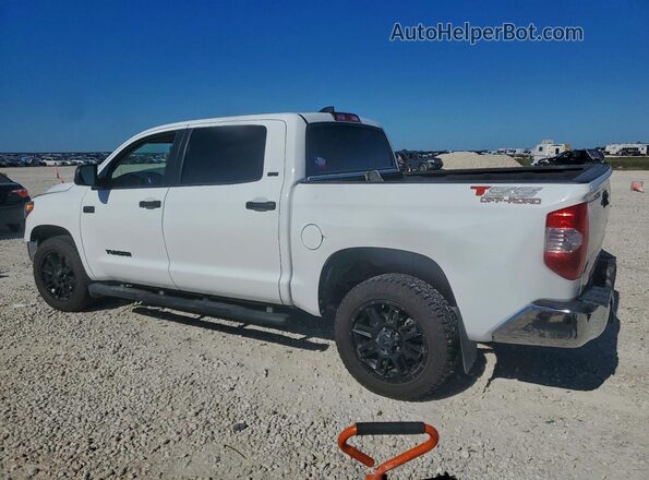 5TFEY5F16MX295811 2021 TOYOTA TUNDRA White Tył lewy
