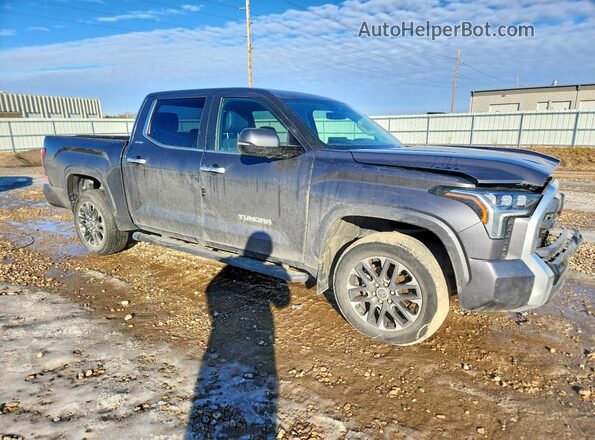 5TFJA5DB3RX130496 2024 TOYOTA LIMITED Gray Przód prawy