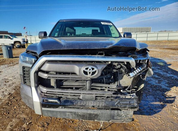 5TFJA5DB3RX130496 2024 TOYOTA LIMITED Gray Widok z przodu
