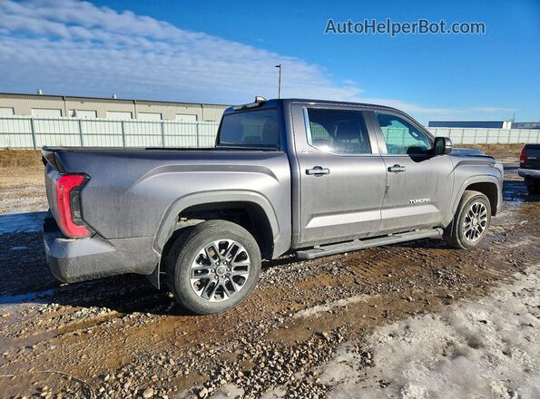 5TFJA5DB3RX130496 2024 TOYOTA LIMITED Gray Tył prawy