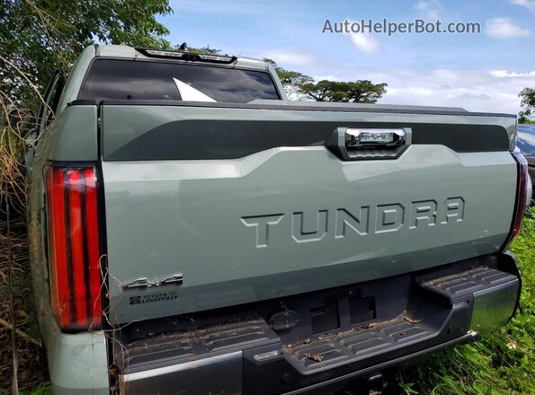 5TFJA5DB3RX221400 2024 TOYOTA LIMITED Green Rear view