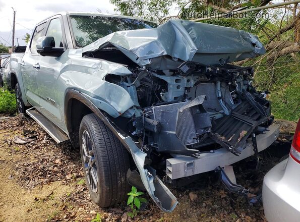 5TFJA5DB3RX221400 2024 TOYOTA LIMITED Green Front right