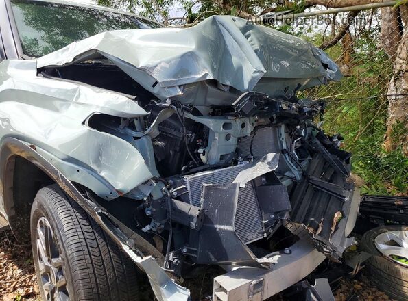 5TFJA5DB3RX221400 2024 TOYOTA LIMITED Green Rear interior view