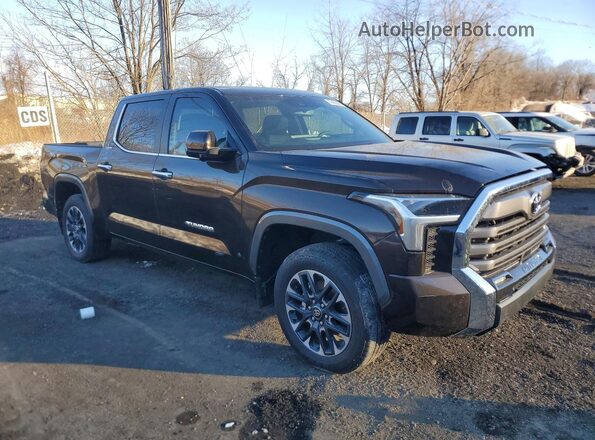 5TFJA5DB3SX320529 2025 TOYOTA LIMITED Коричневый Передняя правая четверть