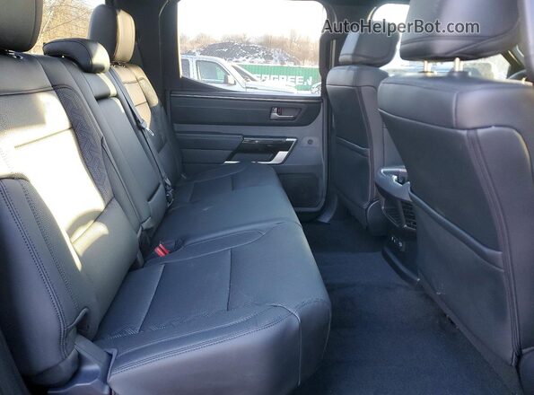 5TFJA5DB3SX320529 2025 TOYOTA LIMITED Коричневый Вид задних сидений
