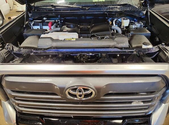 5TFJA5EC6SX048050 2025 TOYOTA LIMITED Синий Вид задней части салона